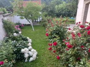 Red Rose